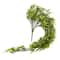 Hanging Bamboo Fern Bush Fern Collection by Ashland®